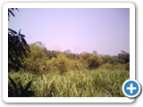 RECO0857